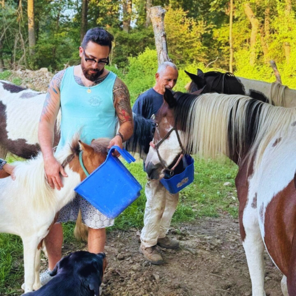 feeding animals